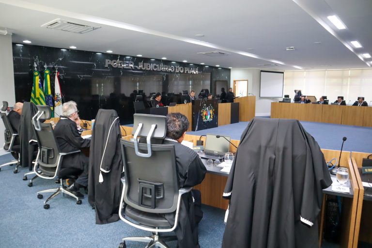TJ-PI aprova criação de varas para casos de roubos e organizações criminosas