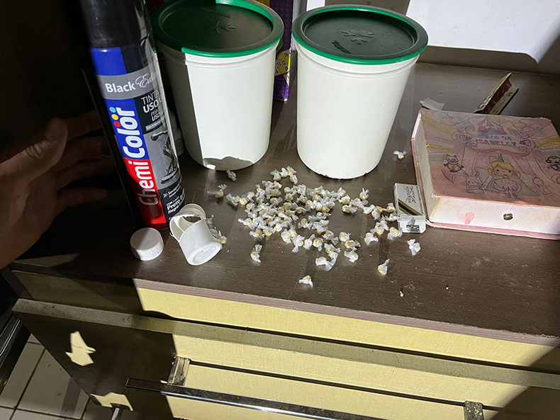 Draco deflagra operação e prende 12 suspeitos de integrar facção criminosa