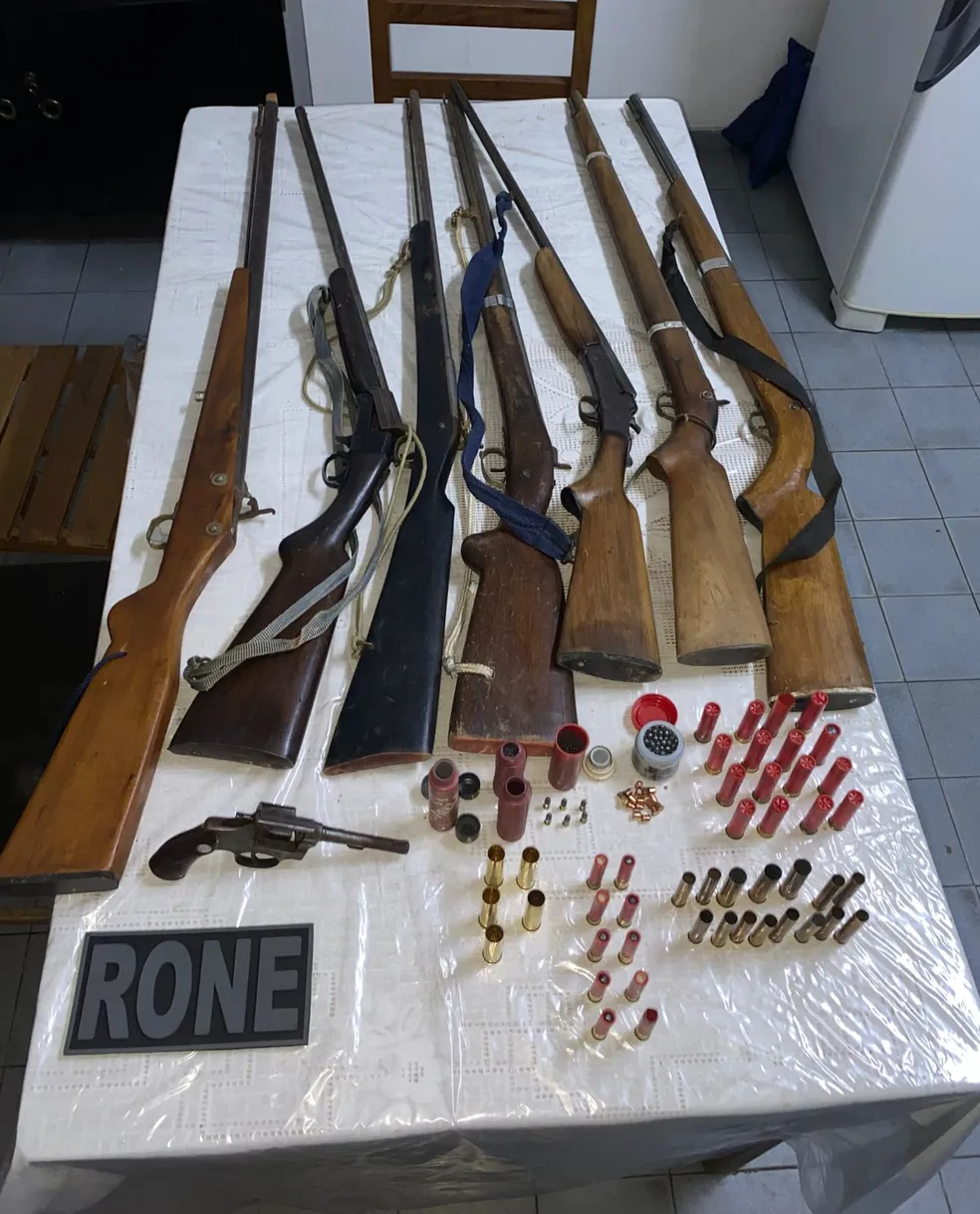 Pai suspeito de agredir filha é preso com oito armas de fogo em Teresina