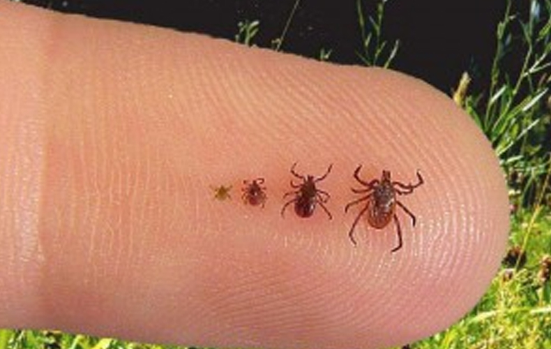 Foto: Divulgação/SESA-PR