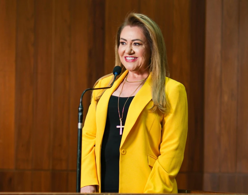 Deputada Simone Pereira