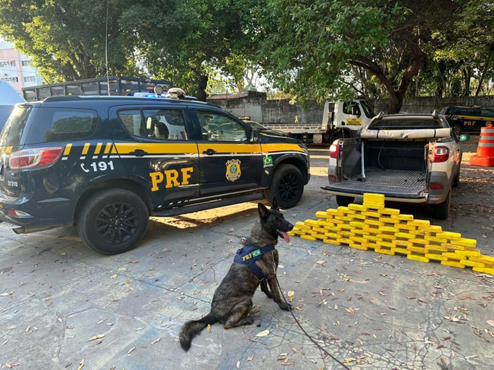Motorista é preso com 62 kg de crack na BR 343 em Teresina