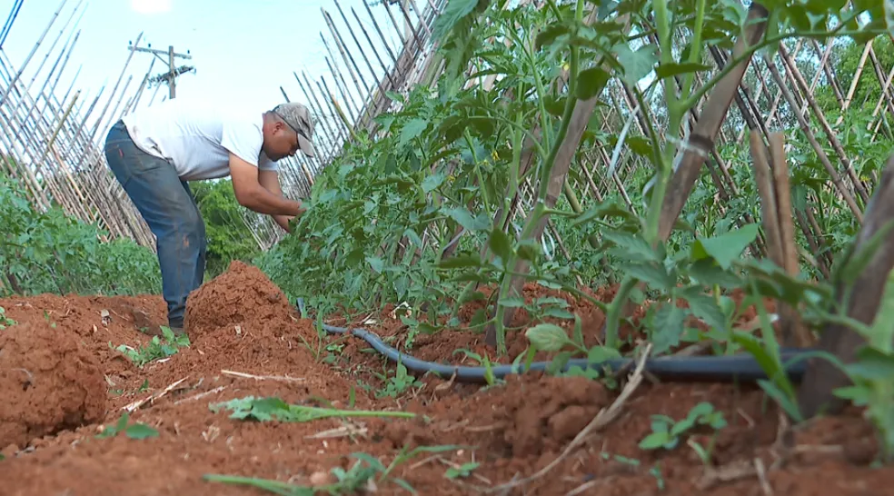 Ministro anuncia Plano Safra da Agricultura Familiar e cerca de R$ 1 bilhão para o PI