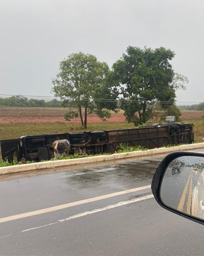 Motorista dorme ao volante e ônibus clandestino tomba na BR-135