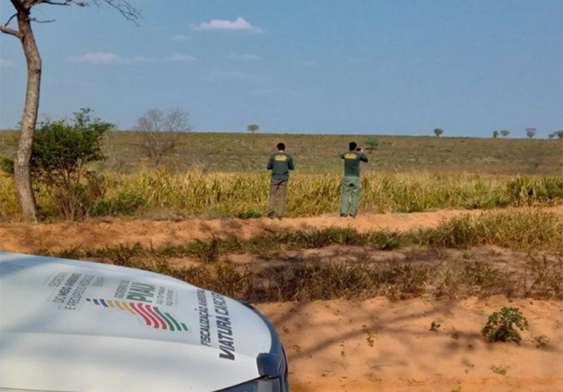 Piauí reduziu índice de desmatamento ilegal em 52% em 2023, diz Semarh