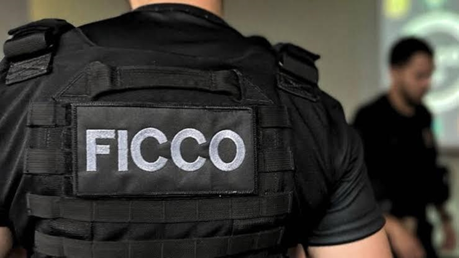 Polícia deflagra operação e cumpre 24 mandados no Piauí e mais 4 estados