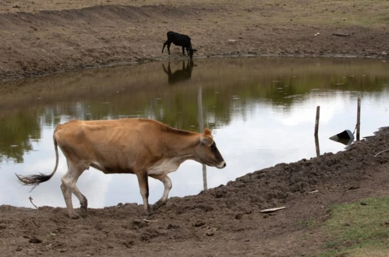 Governador decreta emergência em 40 cidades do Piauí