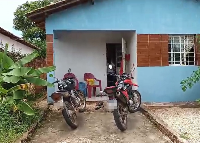 @ reprodução