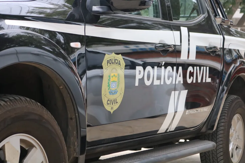 Homem é preso 4 anos depois, suspeito de matar colega a facadas após discussão em Demerval Lobão — Foto: Polícia Civil do Piauí