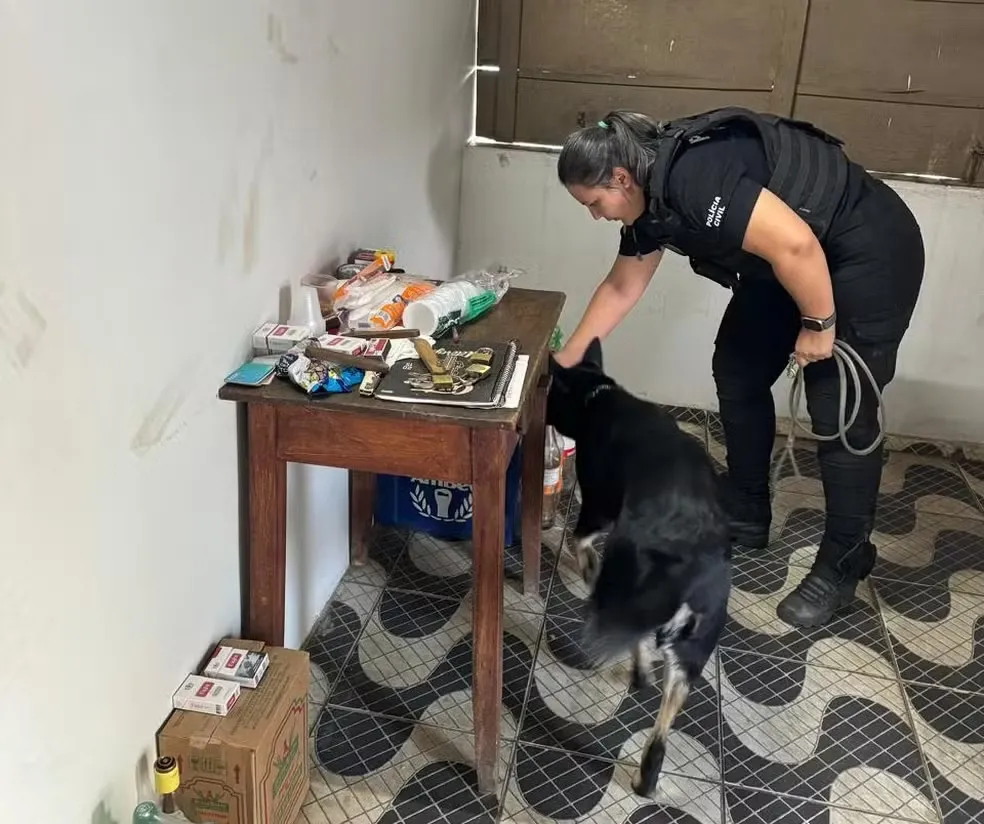 Polícia prende sete e apreende drogas em operação contra o tráfico