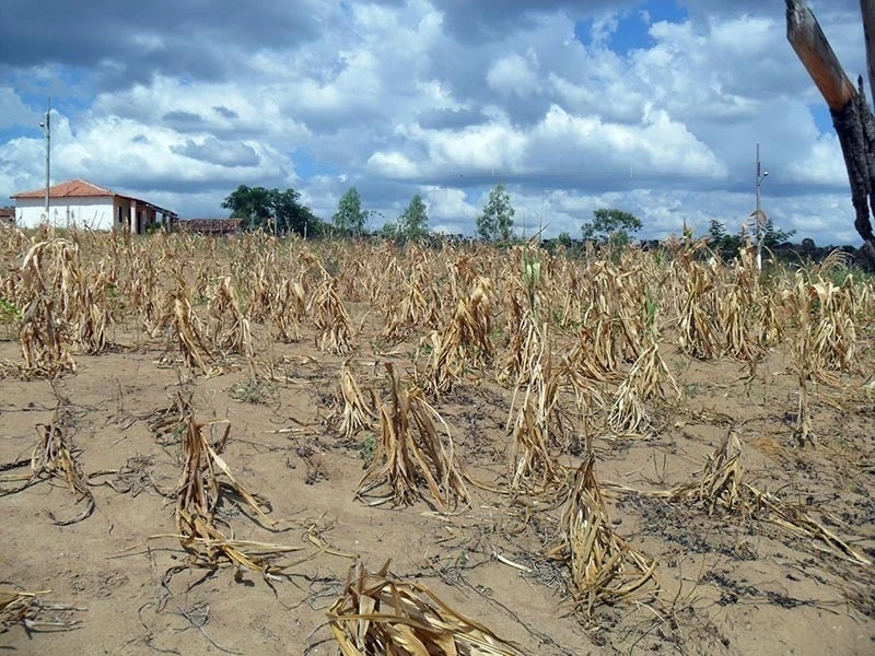 Governo Federal decreta situação de emergência em Bonfim do Piauí