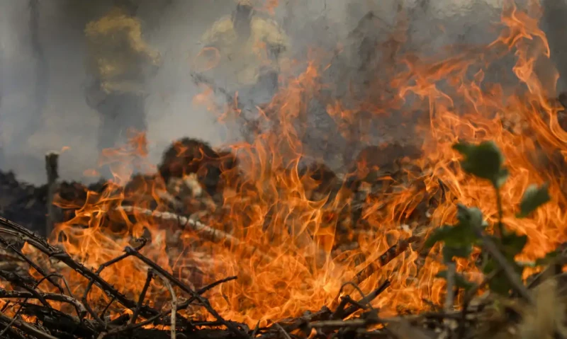 Queimadas podem contribuir para temperaturas recordes em setembro no Piauí
