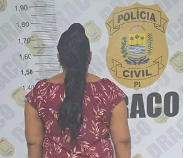 Foto: Polícia Civil 