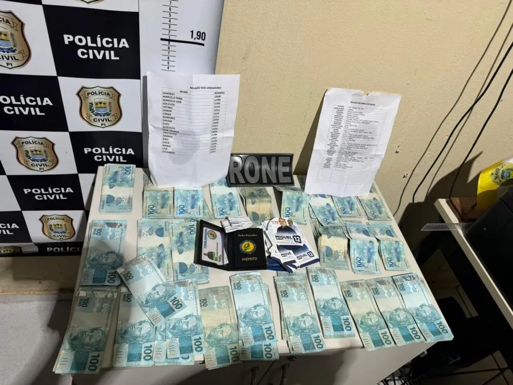 Foto: Divulgação / PC-PI