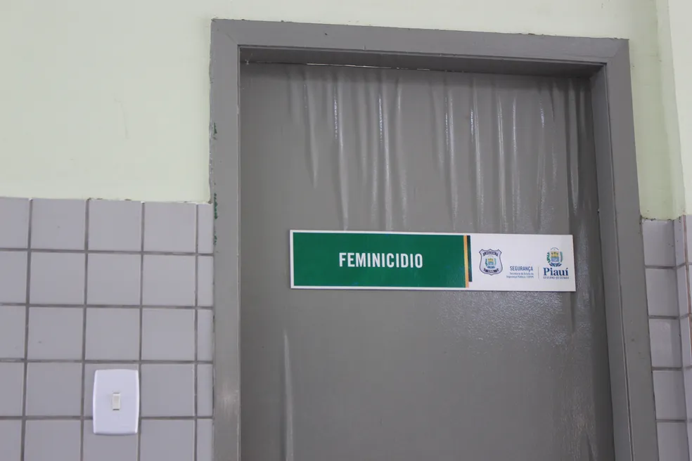 Delegacia de Feminicídio, no Departamento de Homicídios e Proteção à Pessoa (DHPP), em Teresina — Foto: Andrê Nascimento