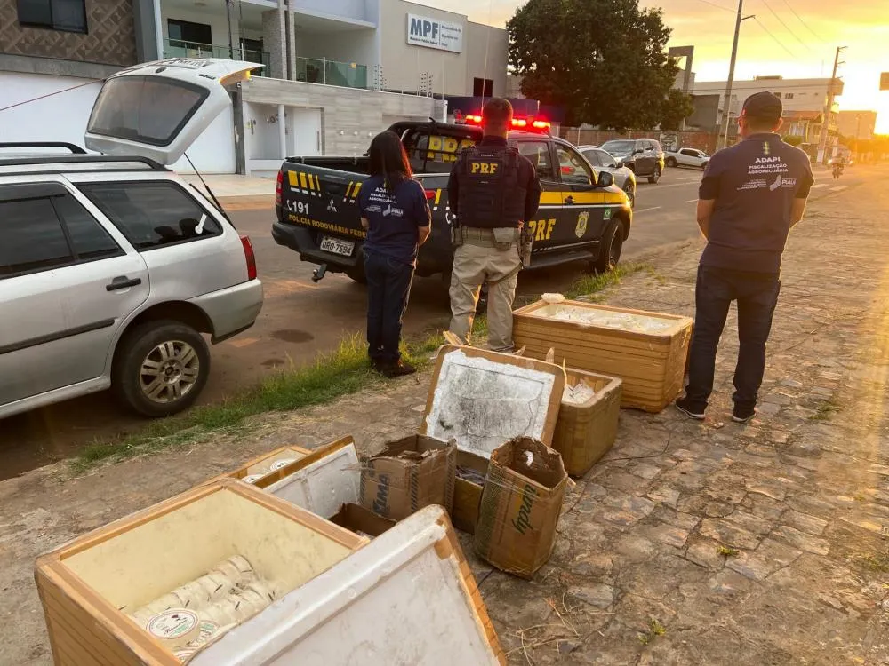 PRF apreende 300 kg de alimentos impróprios para consumo em Picos (Foto: PRF)