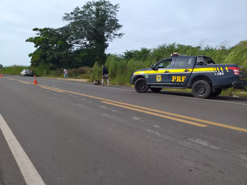Polícia Rodoviária Federal no Piauí (foto ilustrativa) — Foto: Aparecida Santana/TV Clube