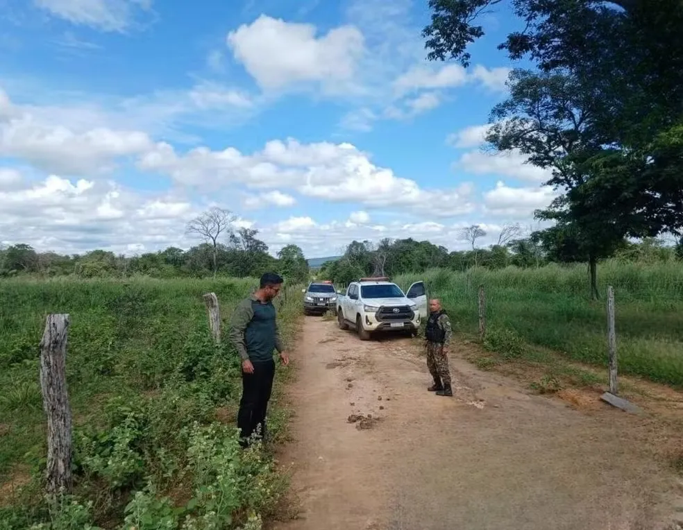 Cerca de R$ 550 mil em multas são aplicados em operação de combate ao desmatamento ilegal no PI; estado tem mais 540 hectares embargados — Foto: Divulgação/Semarh