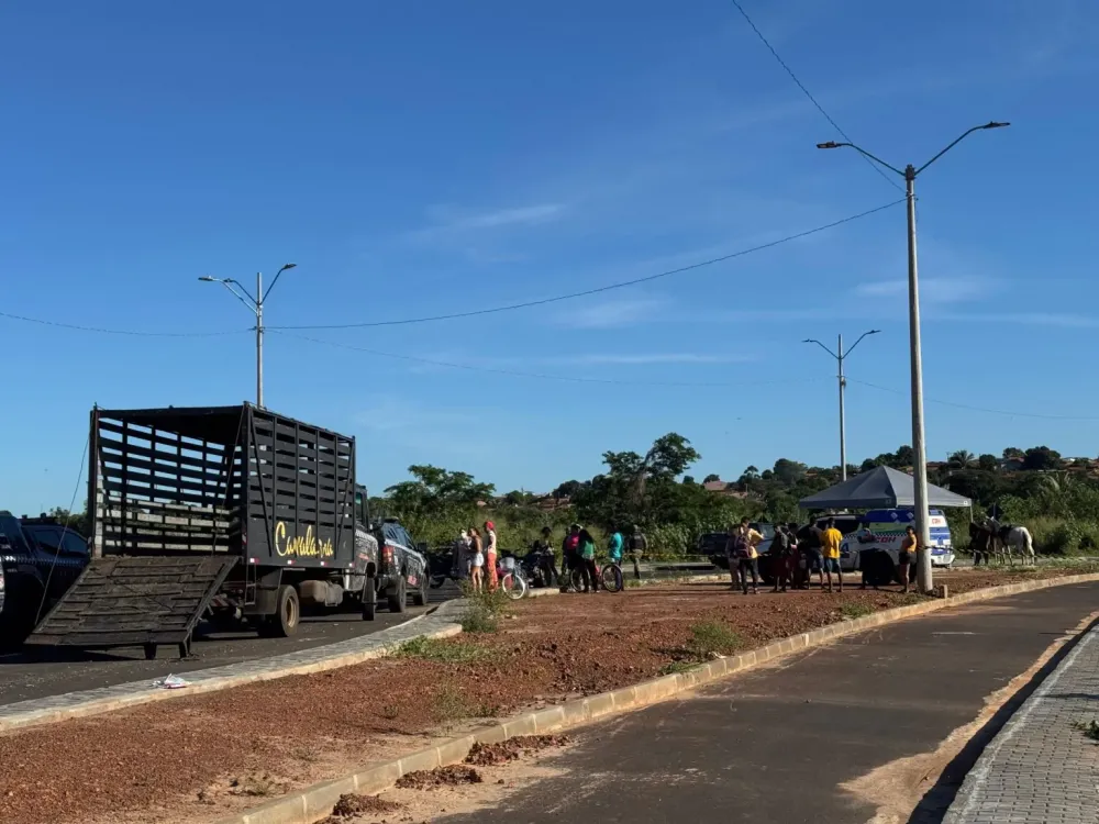 Operação desocupa terreno invadido (Foto: Anielle Brandão)