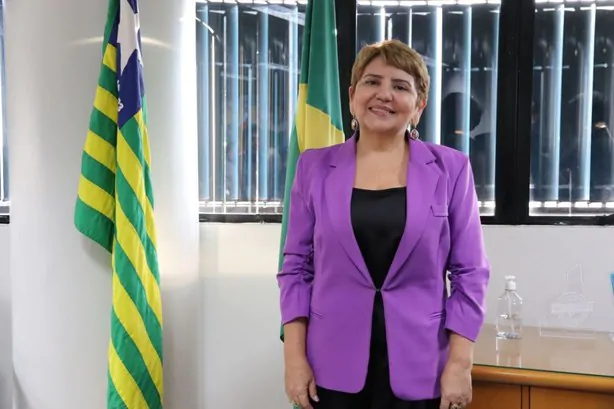 A juíza eleitoral Júnia Maria Bezerra Feitosa Fialho (Foto: TRE-PI)