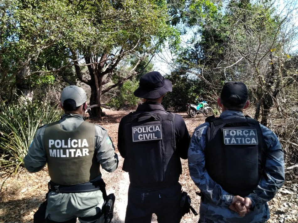 Divulgação 