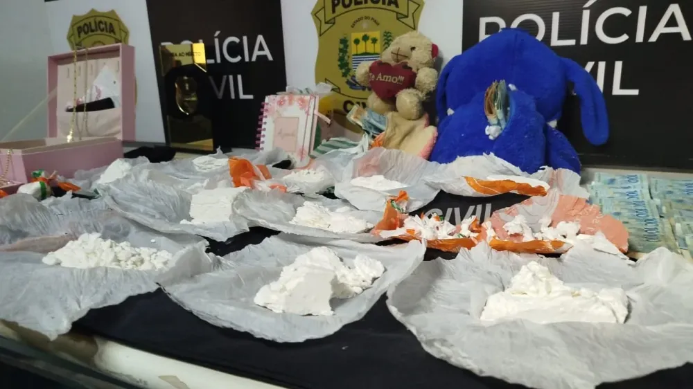 Droga e dinheiro estavam escondidos em ursos de pelúcia (Foto: Francisco Filho)