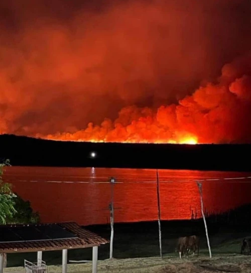 Divulgação / SEDEC
