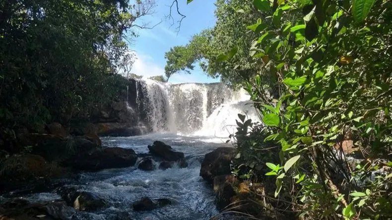 Foto: Divulgação/Ibama