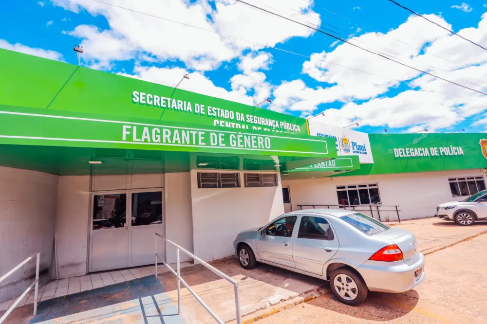Central de Flagrantes (Foto: Reprodução)