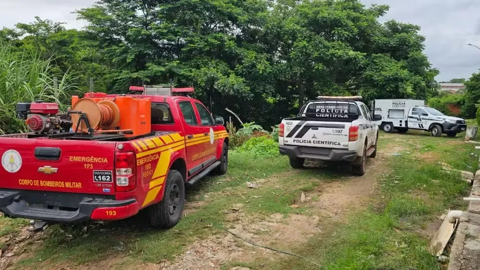 Polícia encontra corpo em área de mata em Teresina e suspeita é de que seja de fugitivo de penitenciária — Foto: Luana Fontenele