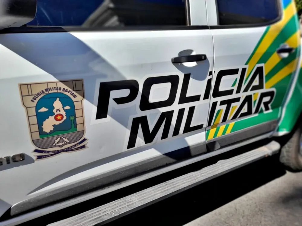 Viatura da Polícia Militar (Foto: PM-PI)