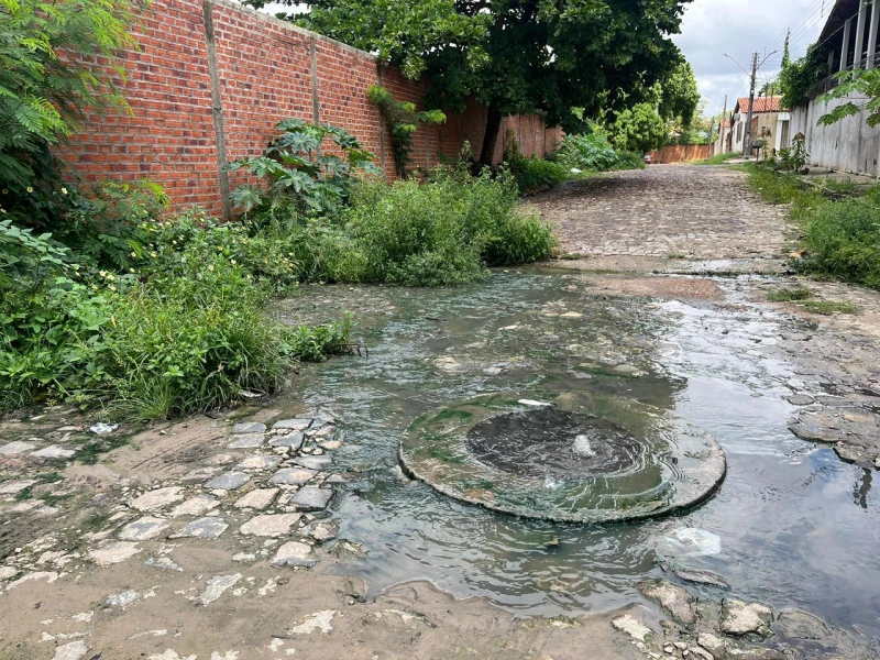 Divulgação 