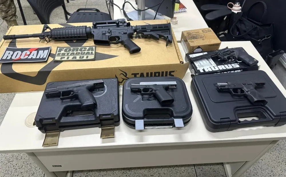Armas apreendidas pela SSP-PI (Foto: reprodução)