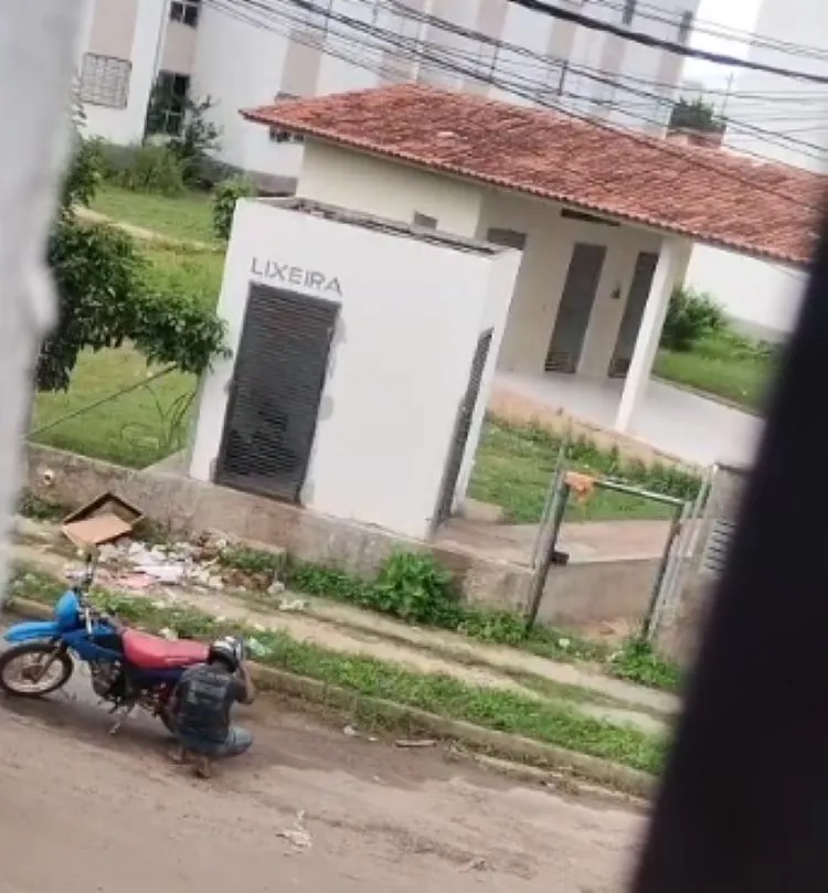 Divulgação 