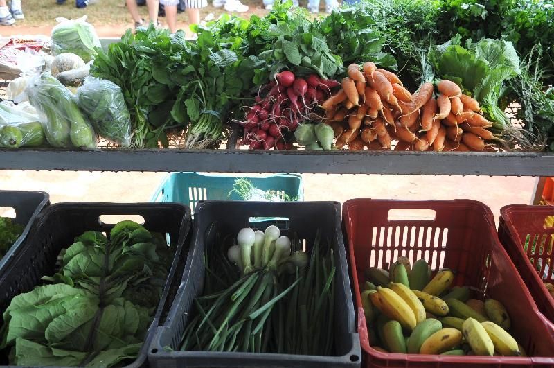 Como cuidar da alimentação para manter a imunidade das crianças