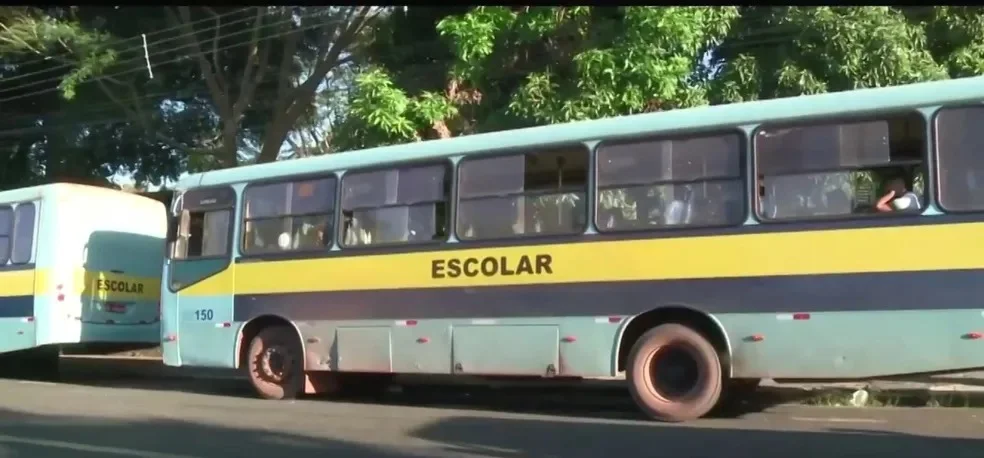 Ônibus escolares da cidade de Teresina — Foto: Reprodução