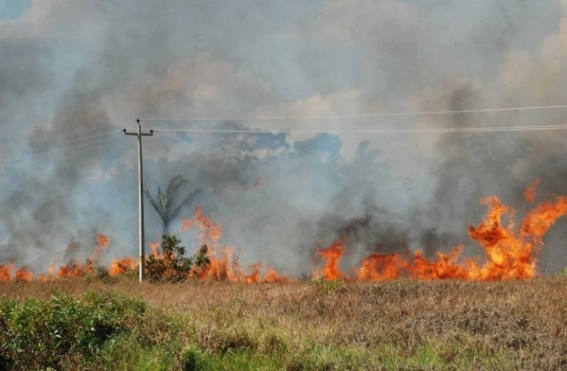 Piauí reduz incêndios e preserva área equivalente a 337 mil campos de futebol