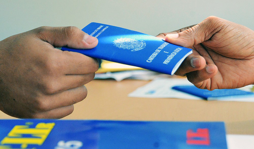 Os efeitos foram sentidos tanto entre os informais quanto entre trabalhadores com carteira assinada. Dos 4,9 milhões de pessoas a menos na ocupação, 3,7 milhões foram de trabalhadores informais. O emprego com carteira assinada no setor privado teve uma qu