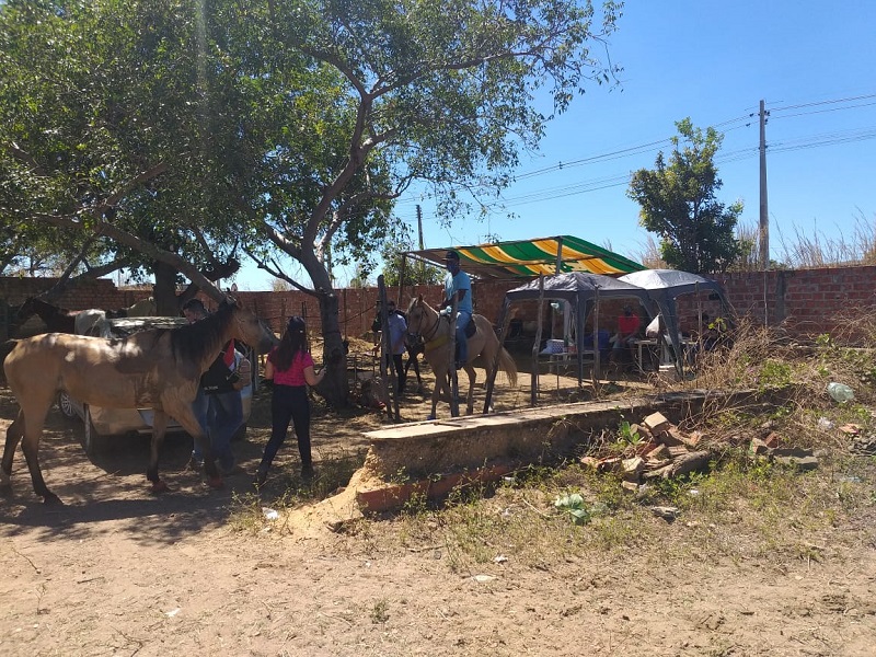 Guarda acaba com vaquejada clandestina na zona Sul de Teresina