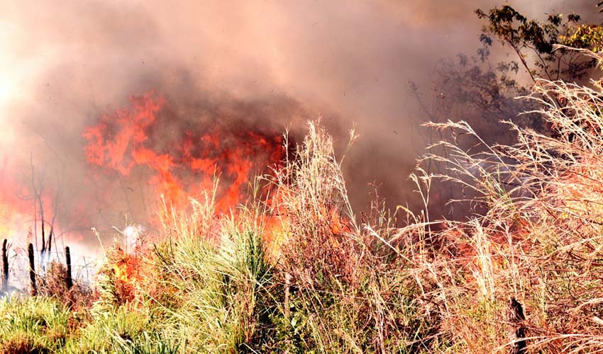 INPE: Piauí dobra número de focos de queimadas em um mês