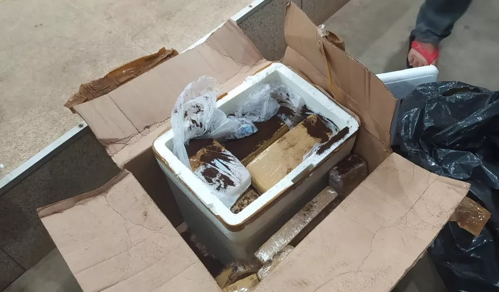 Jovem é preso com 60 kg de maconha em ônibus vindo de SP para o PI