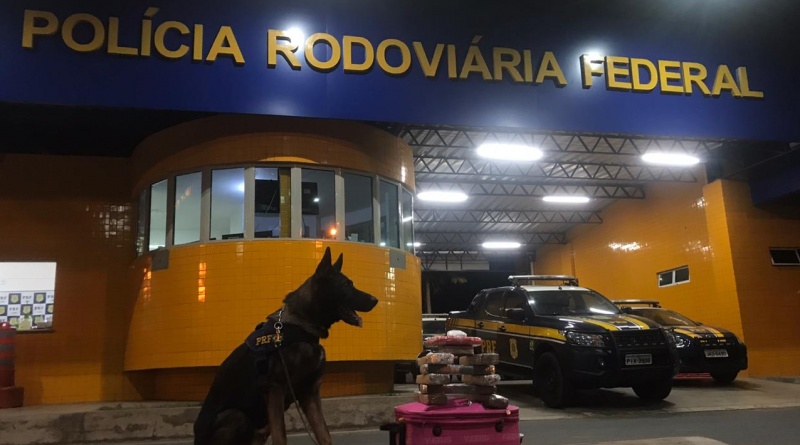 PRF apreende droga avaliada em R$ 145 mil em ônibus interestadual