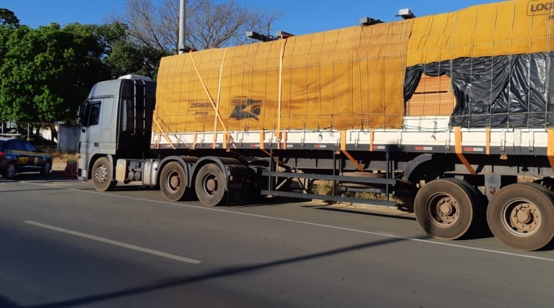 PRF apreende madeira ilegal e autua condutor por crime ambiental