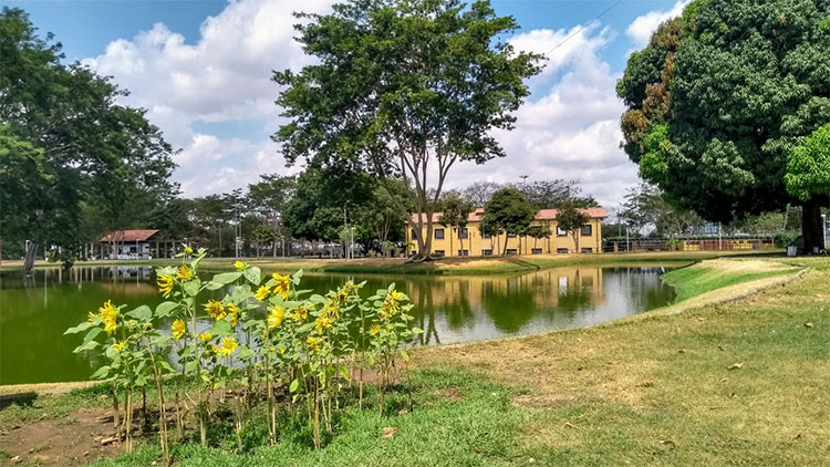 Parques ambientais voltam a funcionar de terça-feira a domingo