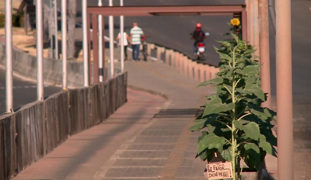 Sábado e domingo terão temperaturas de até 39°, com umidade entre 15% e 33%