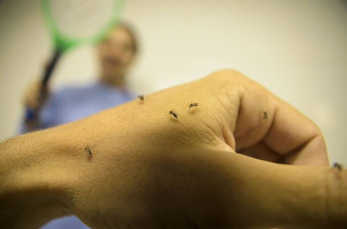 Casos de dengue aumentam mais de 300% no Piauí, diz Sesapi