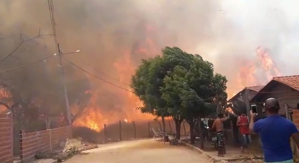 Incêndio atinge áreas de vegetação em pelo menos quatro cidades do Piauí — Foto: Reprodução/TV Clube