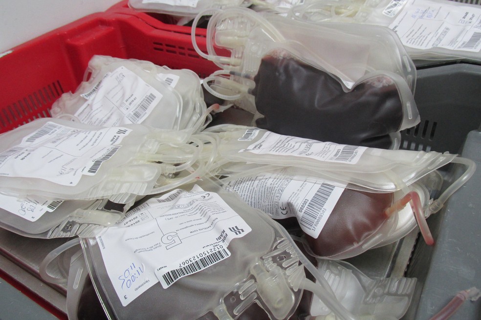 Doações têm queda de 50% no Hemopi com a pandemia — Foto: Catarina Costa/G1