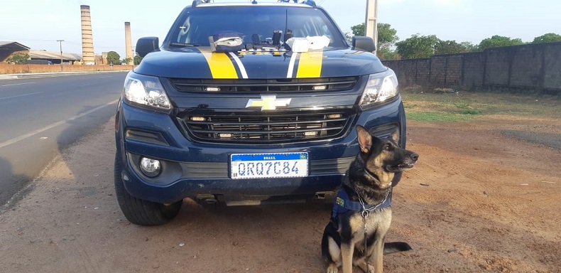 Dupla é presa com quase R$ 100 mil em dinheiro de origem não declarada