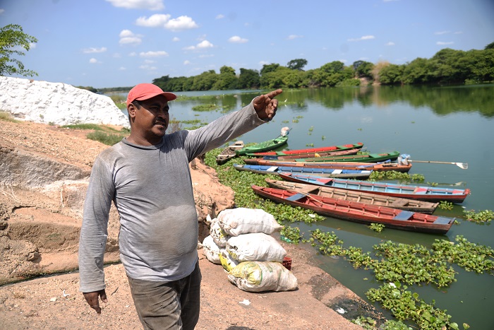 Pescaria cai pela metade com tapete de aguapés no Rio Poti